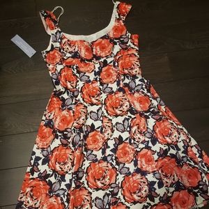 London Times Petite Coral Dress